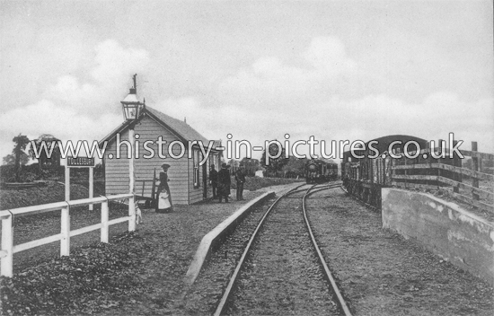 Railway Station, Tollesbury, Essex. Oct 1904